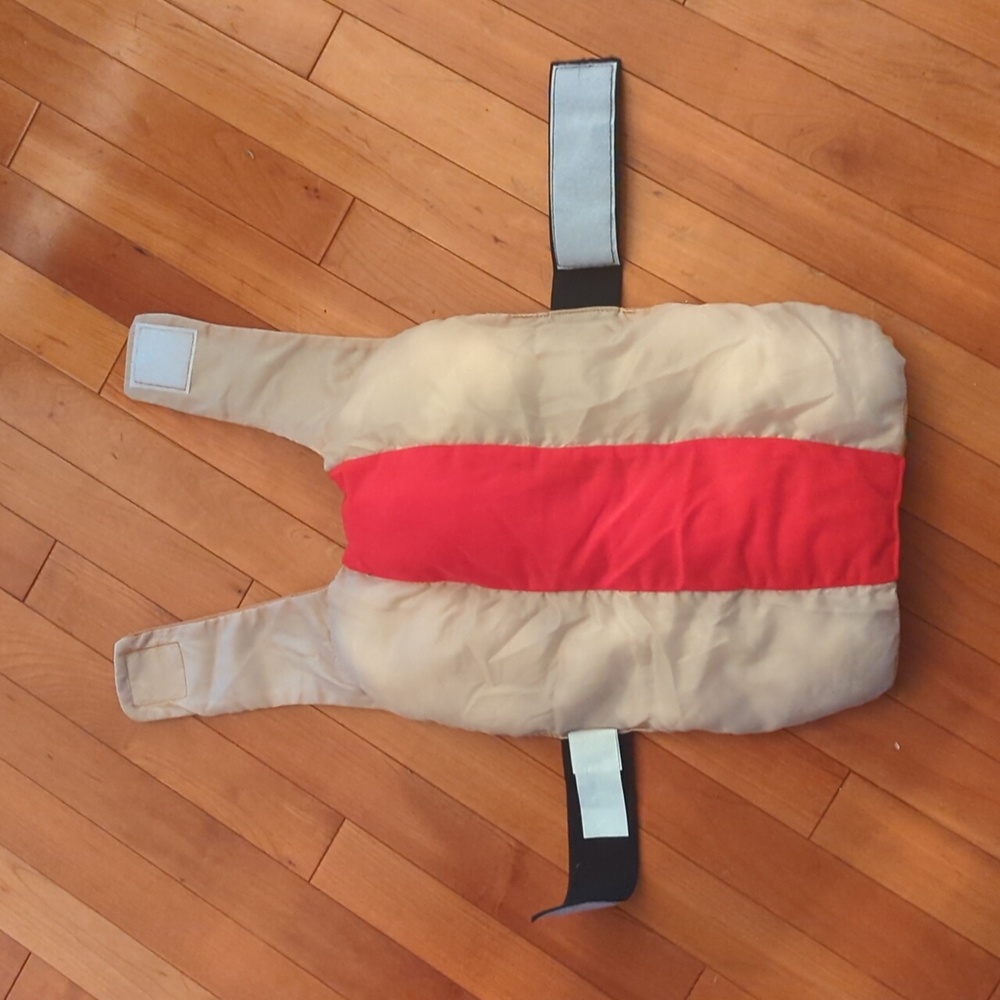 Dog Costume - Hotdog 🌭 - Picture 5 of 5